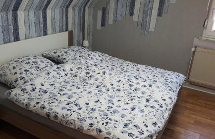 Seehund-Lilly - Foto 9