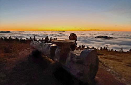 Ferienwohnung Panter- Traumaussicht im Schwarzwald - Foto 18