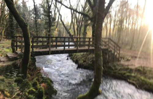 Casa da Placiña - Foto 32