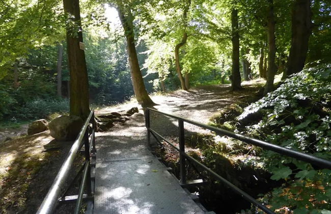 Classic Holiday Home in Harz near Braunlage Ski Area - Foto 26