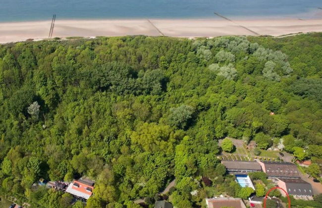 Cozy Apartment at the Foot of the Dunes - Photo 22