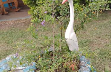 chaler Sao Jorge - Foto 40