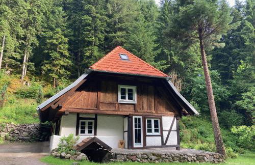 Waldbauernhof - Foto 63