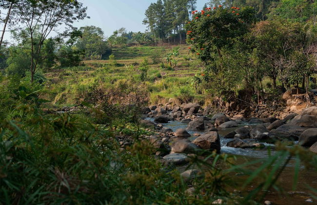 Bobocabin The Tavia Puncak - Foto 29