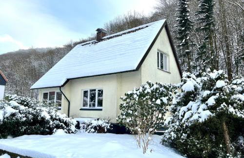 Platell Ferienhäuser Harz Lonau - Foto 31