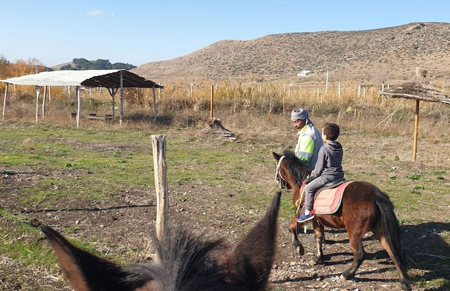 Le Vallon Vert - Club Équestre - Foto 6