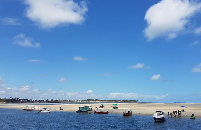 Excursion à la plage de Carneiros en bateau et transfert aller-retour de l'aéroport - Photo 3