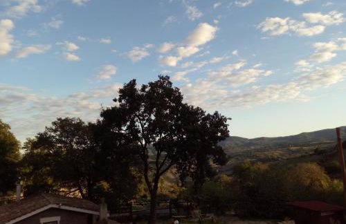 Azienda Agricola Biologica La Cardellina - Foto 61