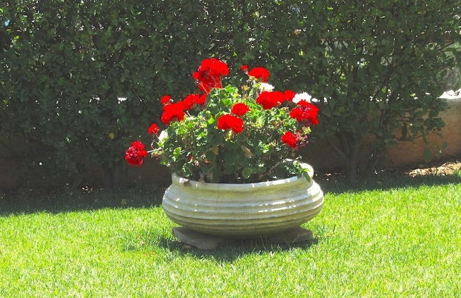 Amalia Residences - Photo 19