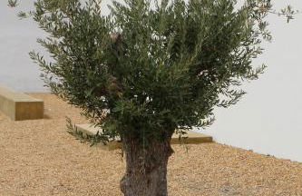 Casa do Roxo - Eco Design Country House - Foto 78