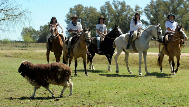 Gaucho Cultural Experience Tour - Foto 2