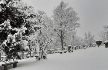 Casa tipica montanara - Photo 26