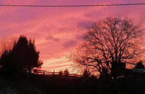 Das Spatzennest - Foto 22