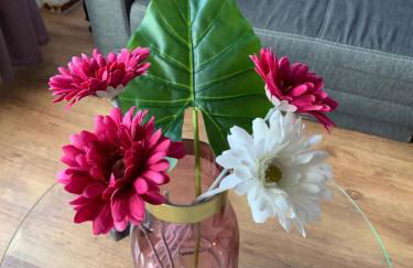 Modern and central, near Rhein & museums, fully furnished - Photo 7