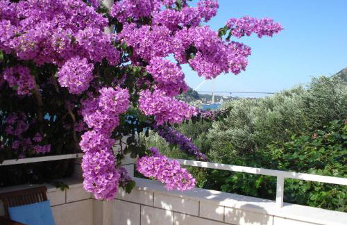 Apartments Husanovic - Foto 53