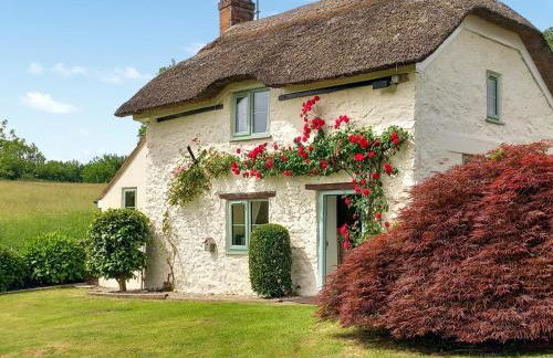 Little Thatch - Photo 1
