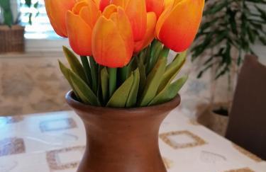 Šimun&Jakov - Foto 29