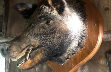 La Cabane des Trappeurs - Foto 32