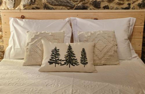 Cardenha das Formiguinhas - Foto 29