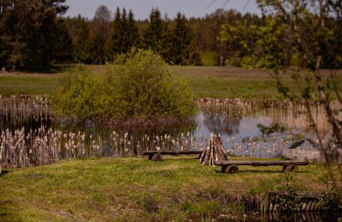 Kłodnia 1 - Foto 31