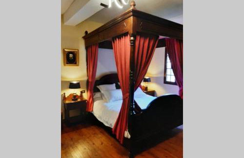 MAISON DE NOSTRADAMUS*** OCCITANIE INSOLITE - Foto 39