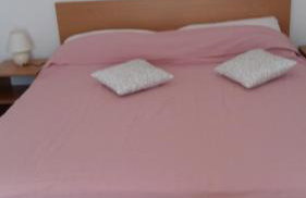 Ruzicin dvor - Photo 70