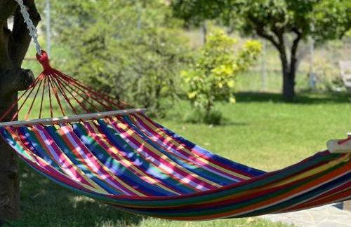 Irene' s Place - Foto 35