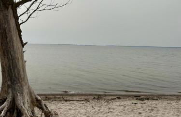 Ferienhaus Dycke 6 - Foto 35