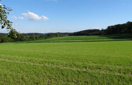 Tolles Apartment mit großer, überdachter Terrasse - Foto 25