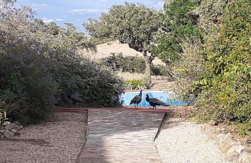 Herdade do Monte Outeiro - Turismo Rural - Foto 7