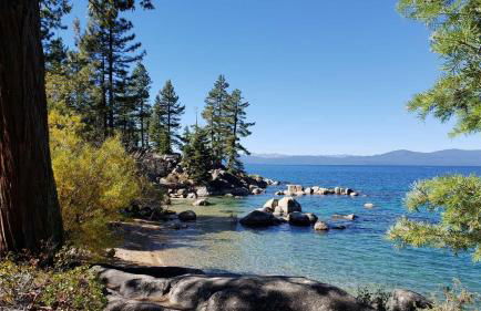 Lakeland Village #110 - Foto 50