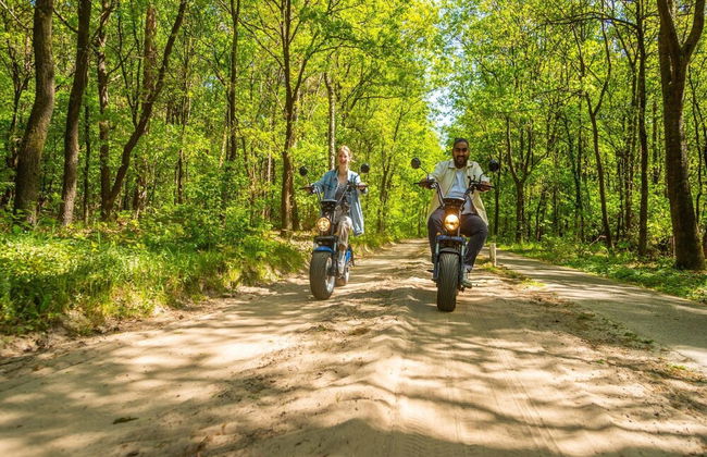 Modern Chalet Near De Veluwe National Park - Foto 18