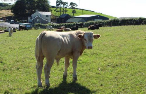 3 Bed in Aberystwyth oc-76692 - Foto 25