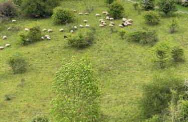 Gîte du blé normand - Foto 35