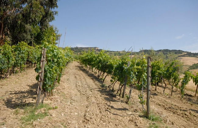 Agriturismo Mannaioni - Foto 17