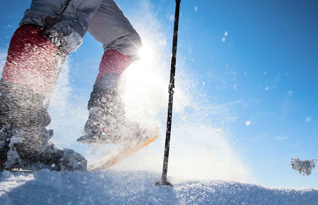Balade en raquettes à Castro Valnera - Photo 1