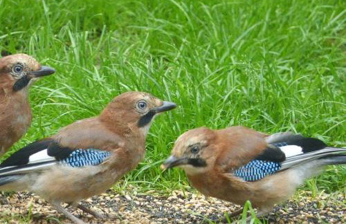 Blackberry Loft - a Hidden Gem - Foto 35