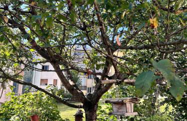 Nandi-HolidaySport&Relax-Apt - Foto 3