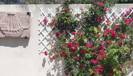 Kleines Ferienhaus am Meer - Photo 3