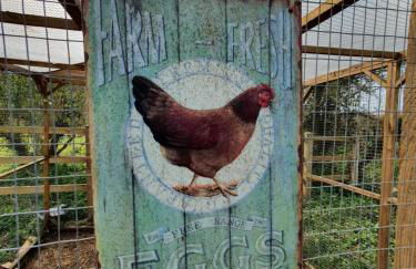 Beautiful 2 bedroom guest house with private pool in Lacock, Wiltshire - Foto 16