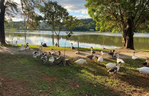 Edificio na rua do Parque das Aguas - Foto 15