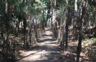 Stefy Home - Foto 23