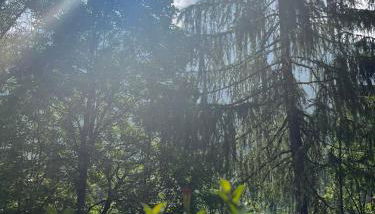 Appartamento Lagazuoi nel cuore delle Dolomiti - Foto 5