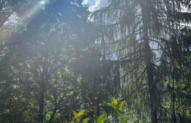 Appartamento Lagazuoi nel cuore delle Dolomiti - Foto 5