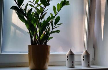 Apartmani ViVa - Foto 38