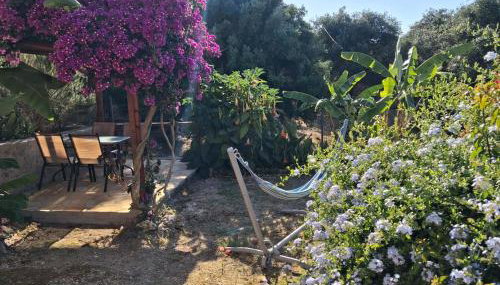 Aglaia House - Foto 4