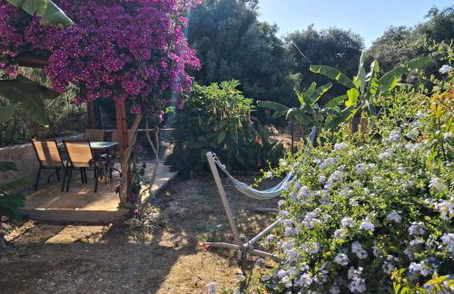 Aglaia House - Photo 4