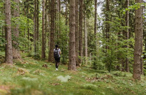 Złoty Horyzont Lux Główny Budynek z basenem, siłownią, grotą solną, bawialnią i restauracją Horyzont Smaków - Foto 31