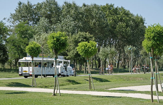 Villaggio Lecci - Foto 53