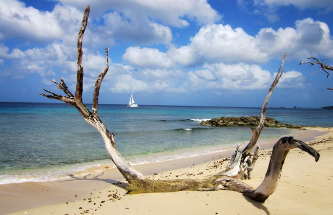 Melrose Beach Apartments - Foto 23